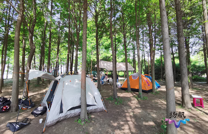 夯实生态中心基底 生态科技新城绝美风景成为网红露营地