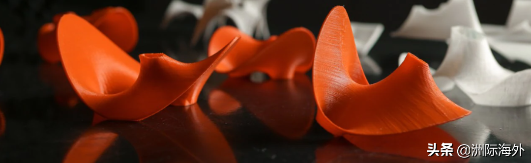 悉尼大学2023年本科&硕士课程更新总结