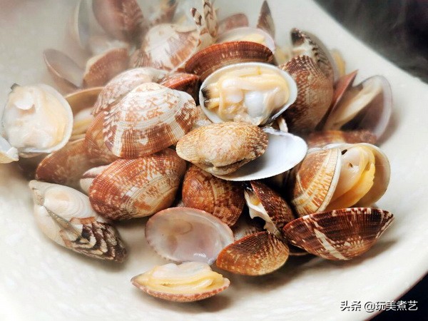 花蛤多少钱一斤(蛤) - 价格百科