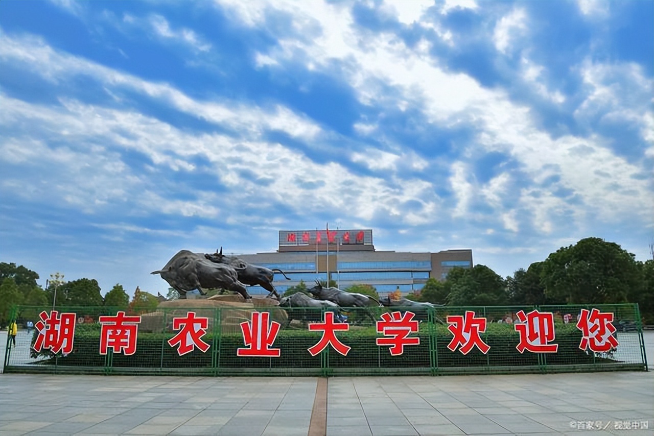 长沙林业大学「长沙中南林业科技大学」-爱妻自媒体