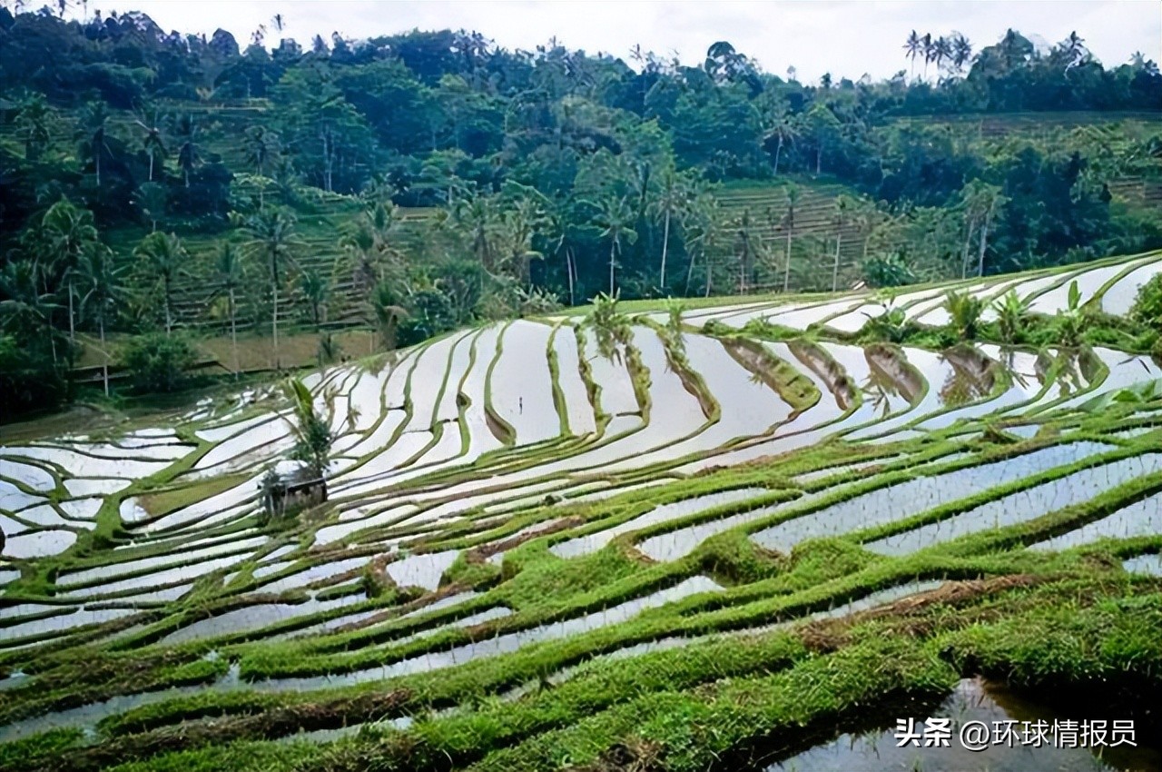 巴厘岛是哪个国家的（巴厘岛海滨是哪个国家的）-第22张图片-易算准