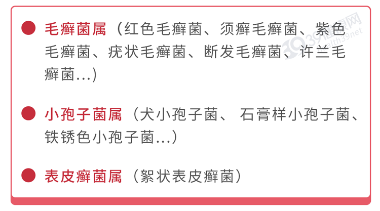 怎么样治疗灰指甲(得了灰指甲，反复发作很难受？一次性介绍3种药，总有一款能起效)