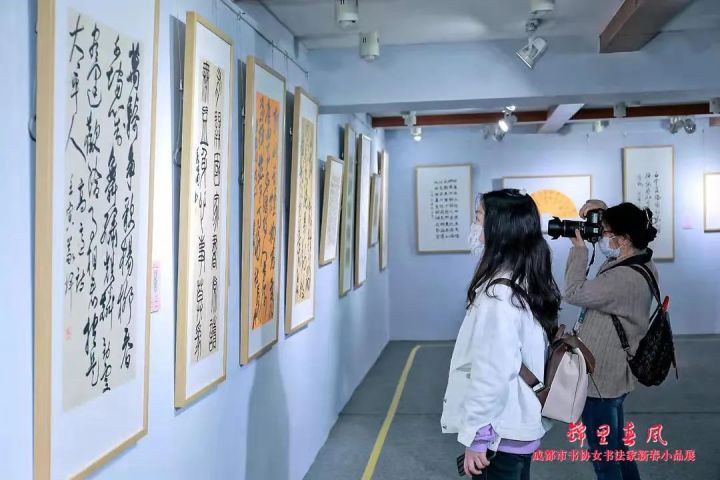 “锦里春风——成都市女书法家新春书法小品展”开展