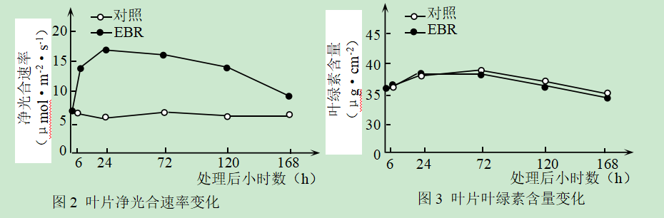 xiangʲôֲＤjiأ൱yuʲôֲＤࣩ-28ͼƬ-Ʒ