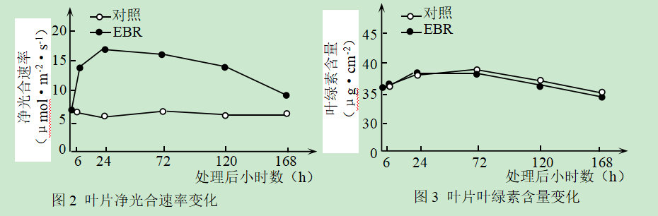 青鲜素相当于什么植物激素（青鲜素相当于什么植物激素类）-第28张图片-昕阳网