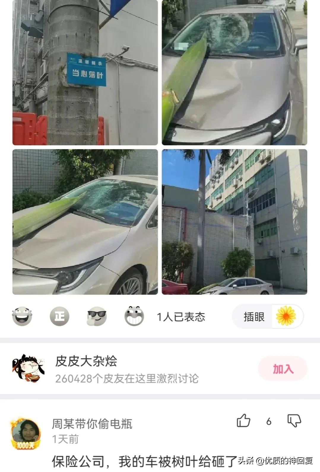 “妹子，你知道衣服上的字是什么意思吗？”哈哈哈自信的女孩最美