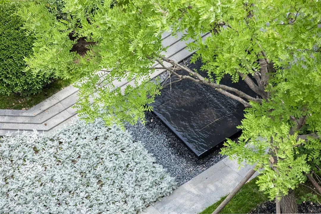 用心的植物搭配，超级美