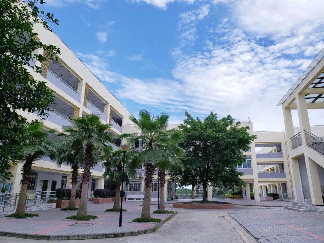梦·起新兴庙山 心·飞广阔天下|走进四川天府新区新兴小学庙山校区