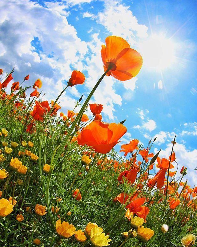 朋友圈小清新早安说说，短小精致，一秒倾心