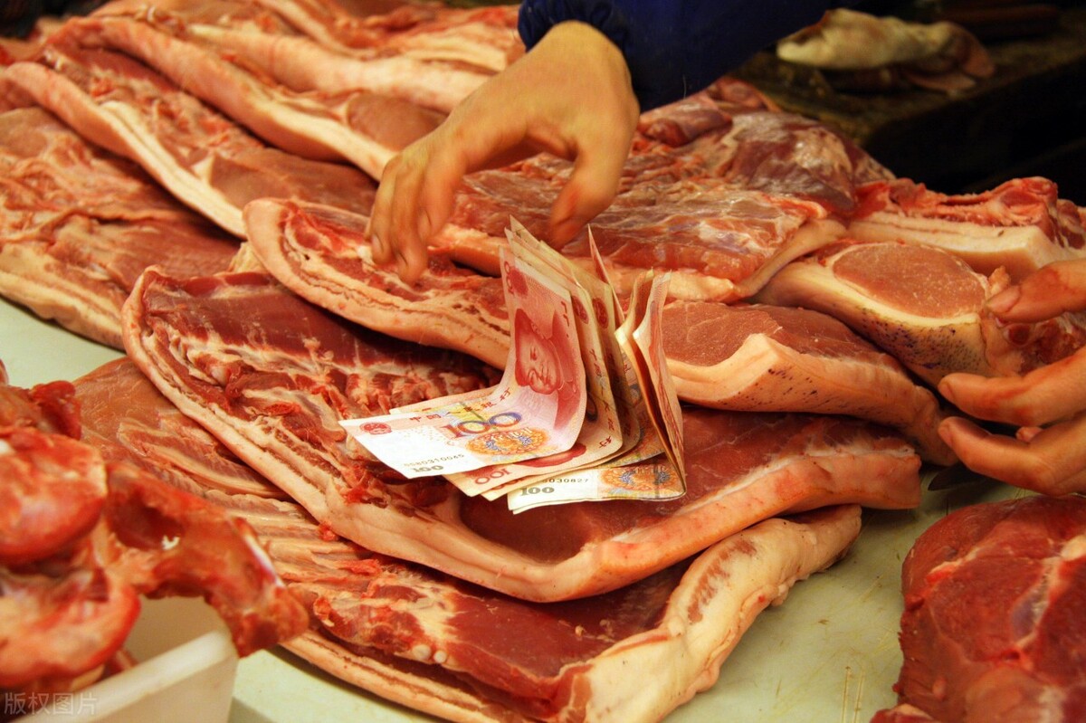 廊坊猪肉价格今日价一斤，生猪肉价格今日价