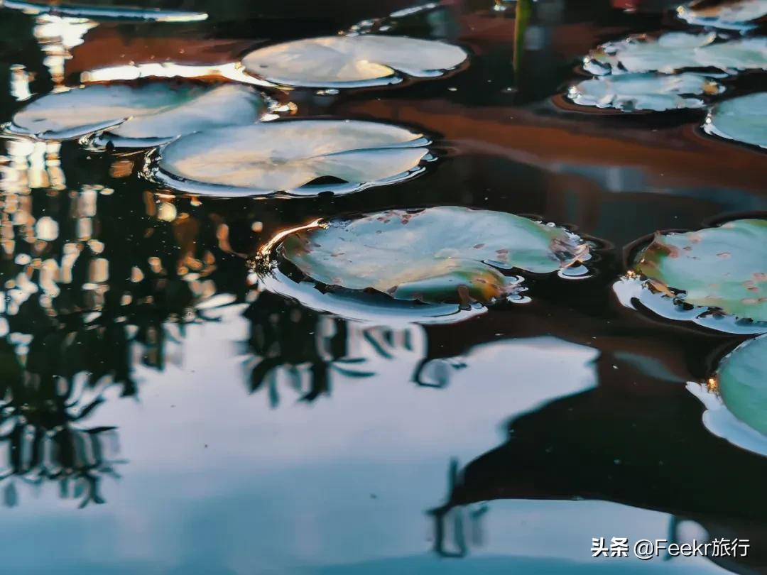 12星座旅行攻略,最适合你的2022年小众目的地在哪里?