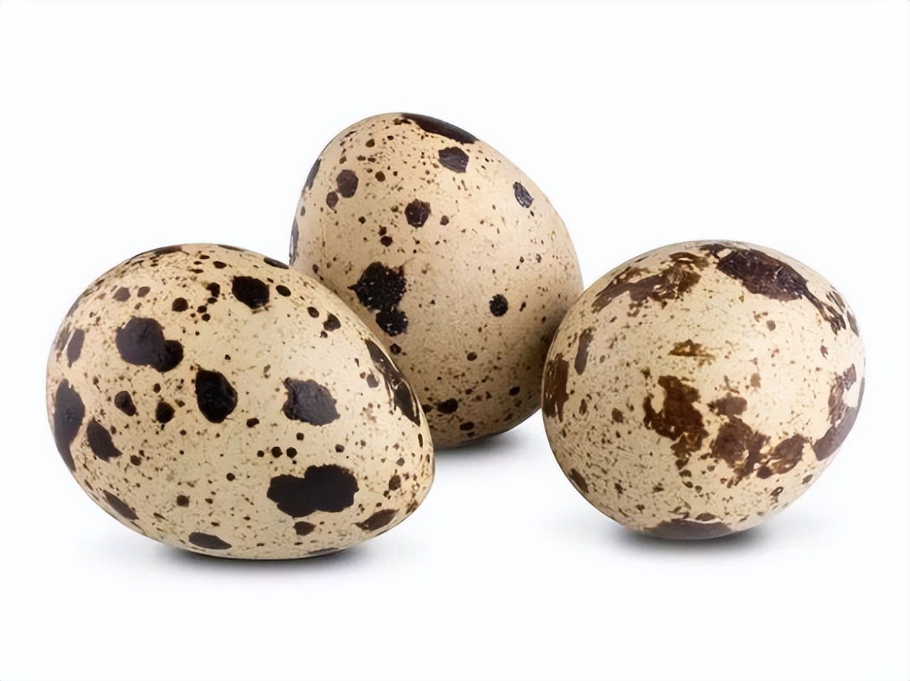 雞蛋、鴨蛋、鵝蛋、鵪鶉蛋，誰的營養價值更高？ 該怎麼選擇