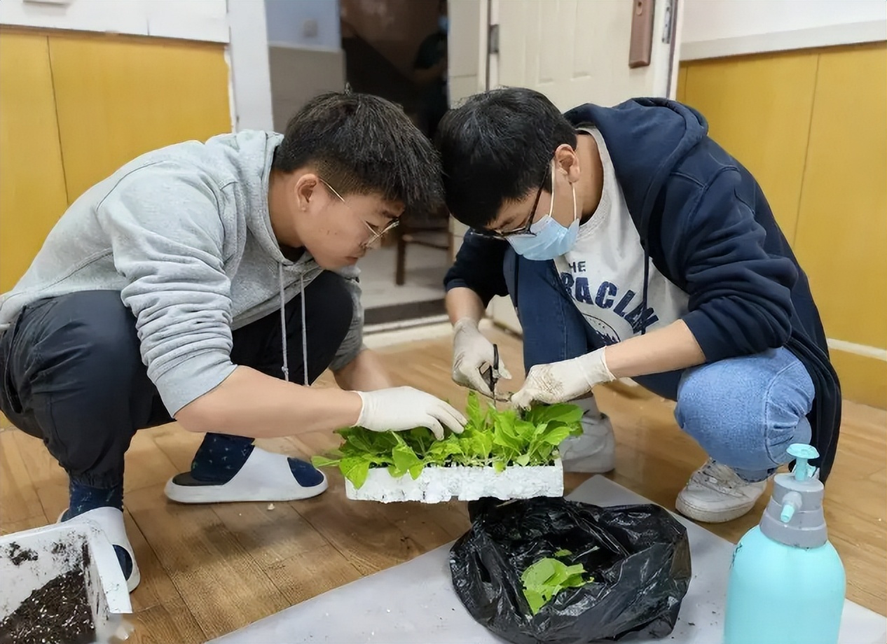 4所高校的校名朴实无华，却深受中国烟草青睐，毕业后薪酬也可观