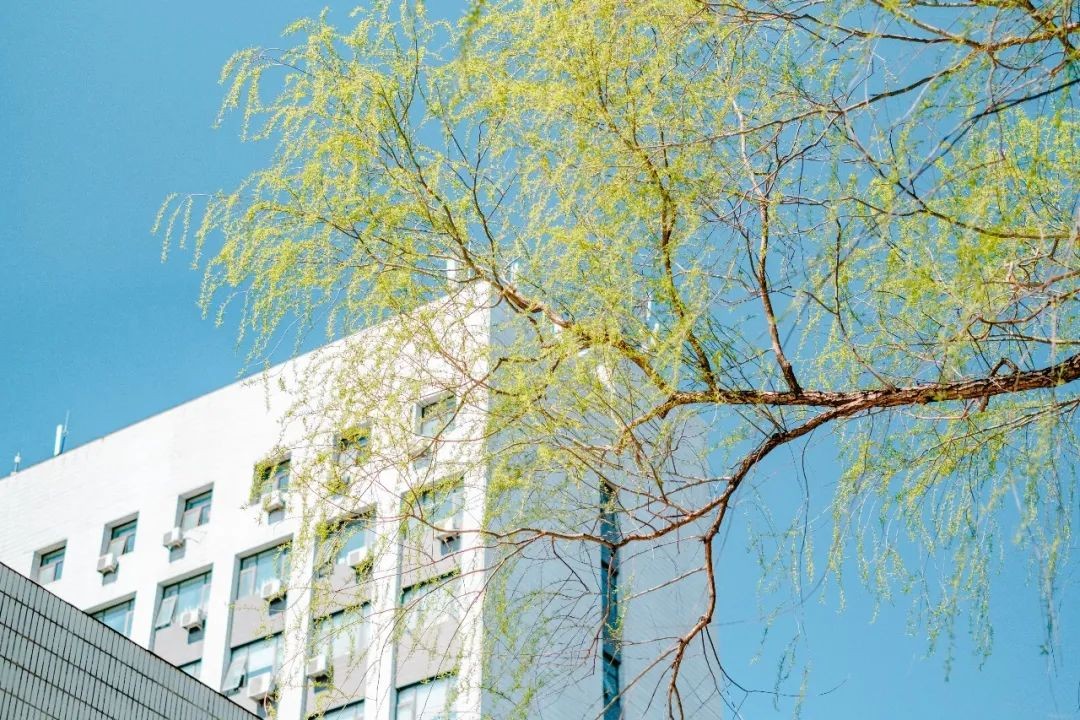 这一工作被列入宪法，人才需求旺盛！北京高校获批增设新专业，今年开始招生！