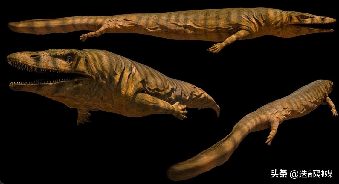 侏罗纪世界3上映，顶流沧龙出场太少被吐槽？