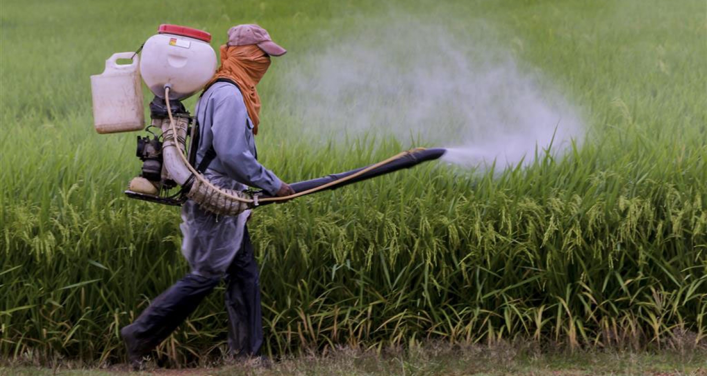 长沙海关截获非法稻瘟病菌，对粮食威胁很大！谁买的？想干什么？