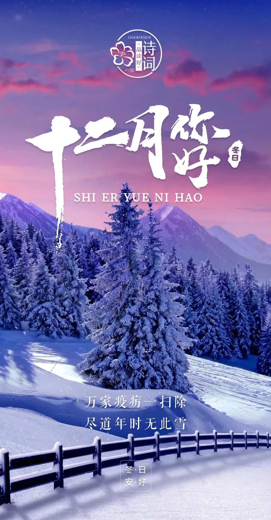 你够了图片(12月，你好！2022年最后一个月，愿冬日无恙，一切安好)