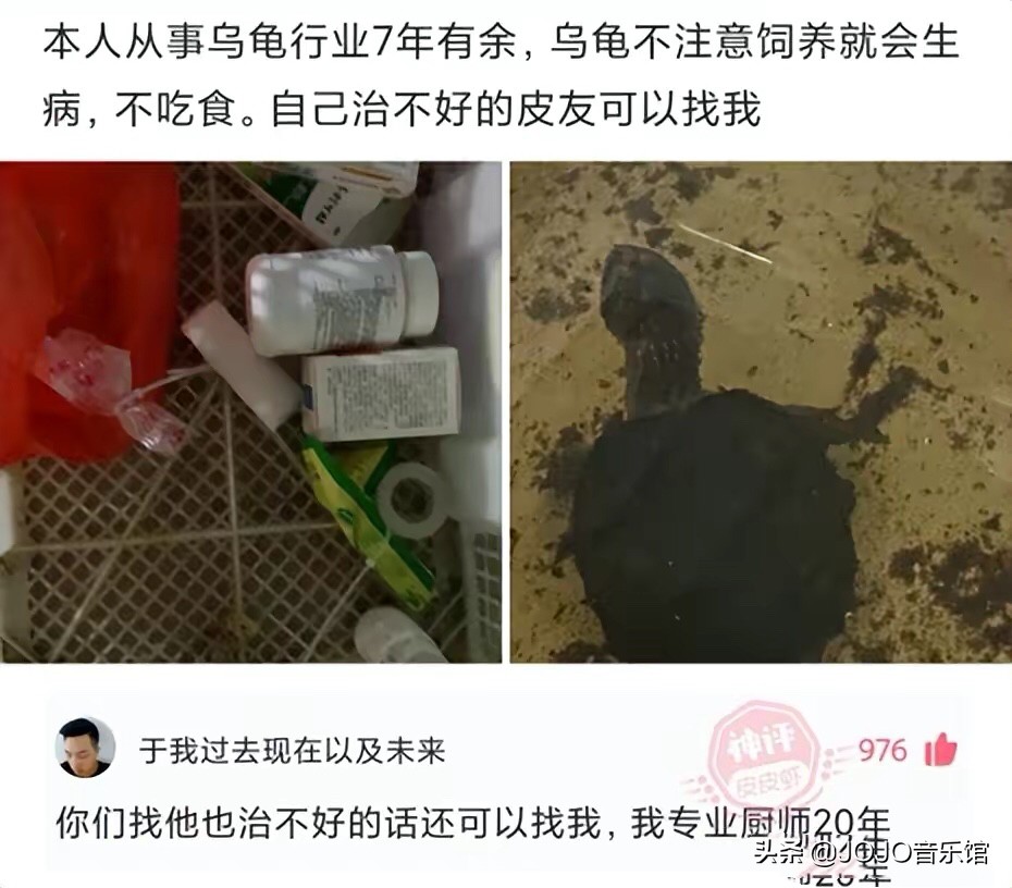 神回复：明星不拍戏的时候都在干什么