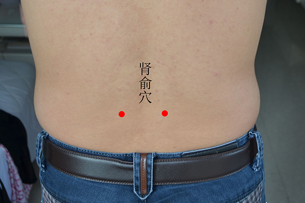 腎陰虛的癥狀有哪些（陰虛、陽虛傻傻分不清楚？中醫教你判斷方法，亂補一通反而傷身）