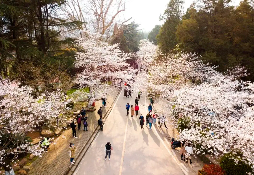 中国面积最大的学校（一所大学太）