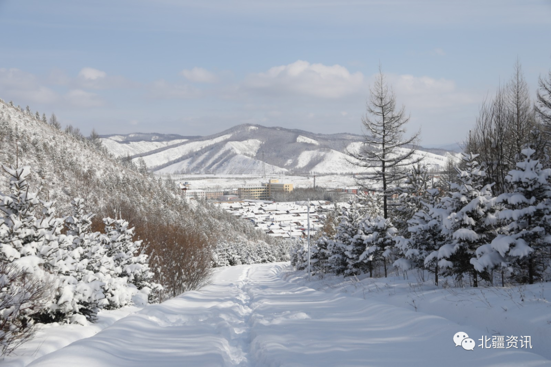 美图！三月春雪添诗意 玉树琼瑶美“出圈”