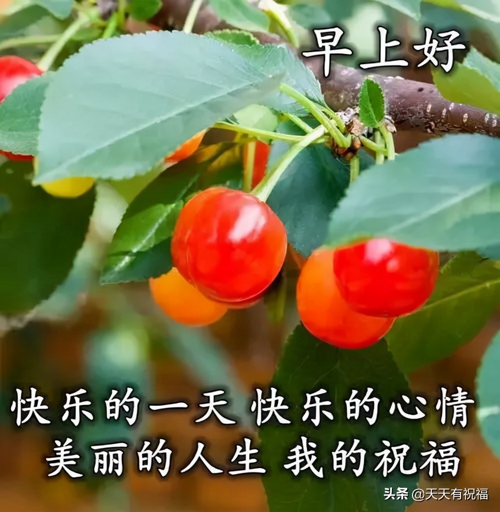 最美阳光暖心的问候语图片带字,唯美好看的早安图片带祝福语