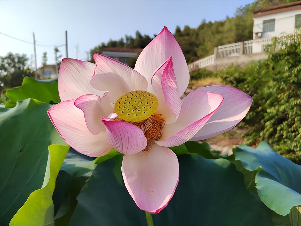 写给人品不好还装的人（写给人品不好还装的人望恩负意）-第4张图片-昕阳网