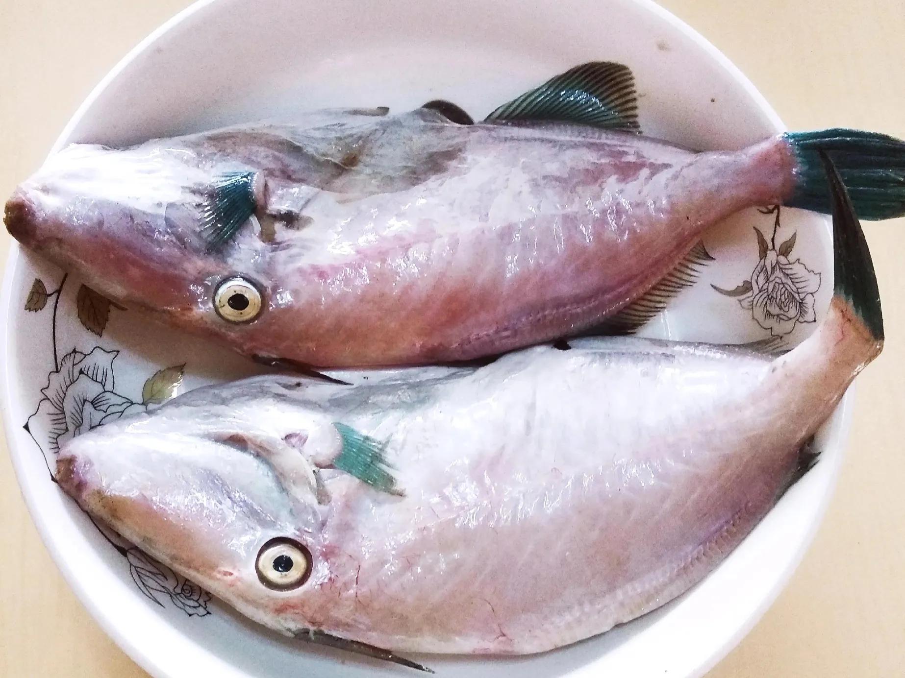 海鱼的品种大全及名字（中国常见的30种海鱼介绍）