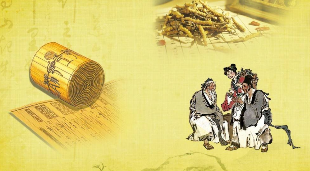 桑黄被称为“森林黄金”，到底是什么东西？值不值千元一斤？