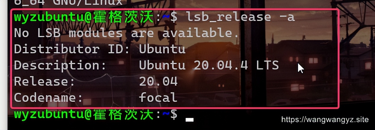 WSL 2 的安装过程（以及介绍）