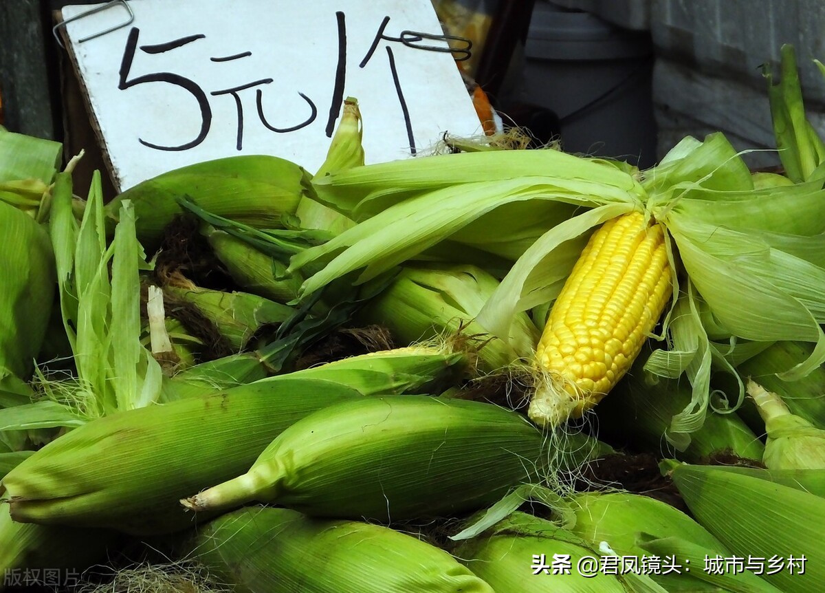 湖北宜昌:春節臨近,集貿市場蔬菜菜價掠影