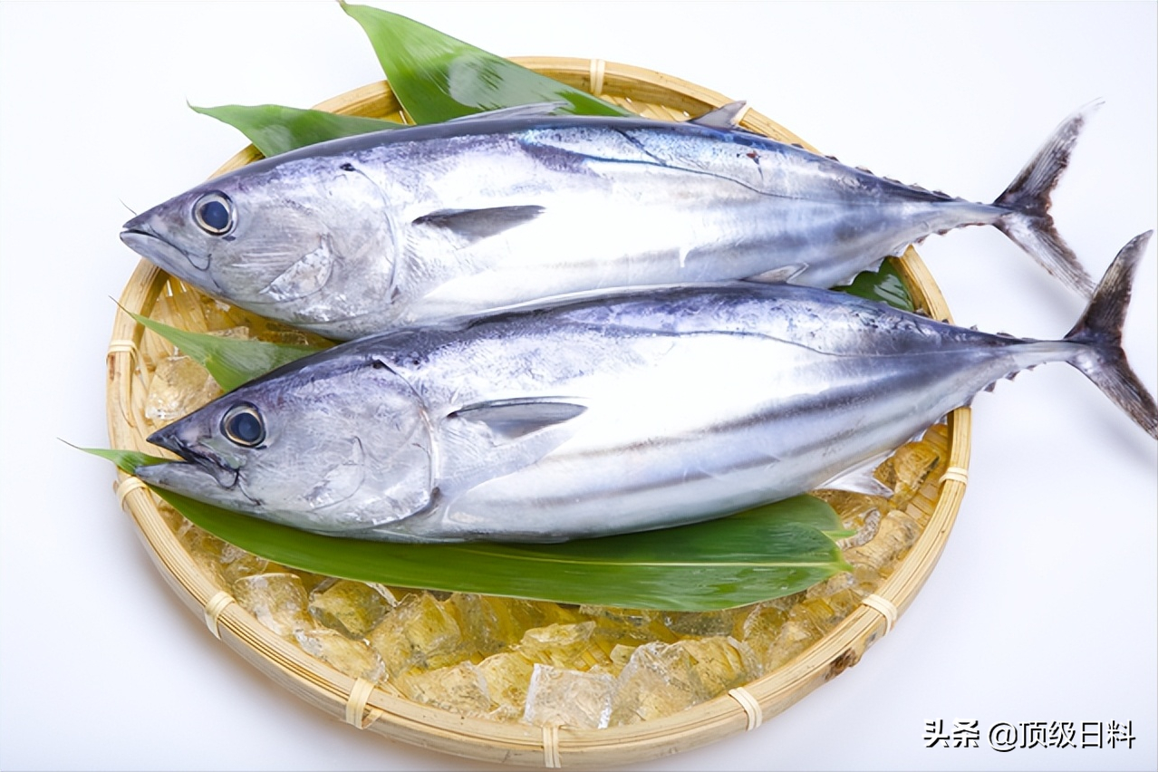 春季日本不可错过的五大时令鱼鲜美味 天天看点