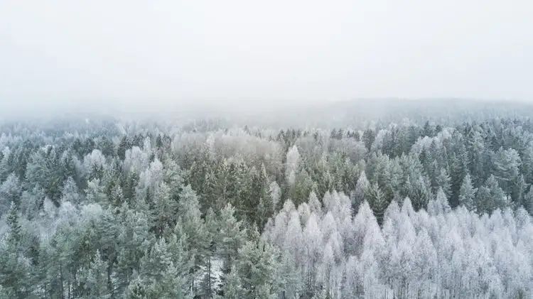 20张冬日摄影佳作，漫天的雪花落下来，浪漫得不像话