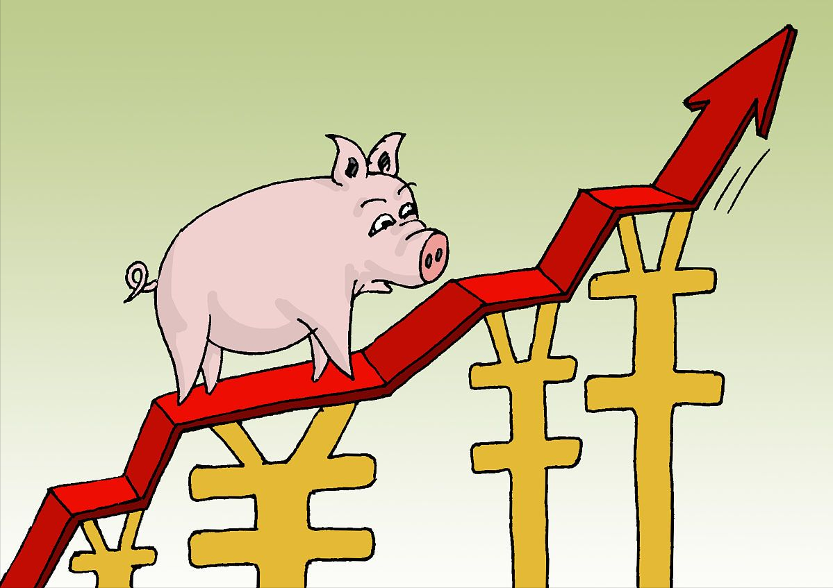 预警！生猪价格涨势“减退”，北方大厂落价增多！12月5日猪价