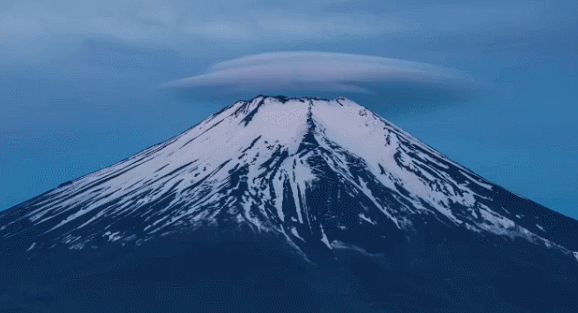 ������ѧ�ұ���Ԥ�⣺��Ȼ�ֺ����ܽ�ʹ�ձ����ɱ�����������