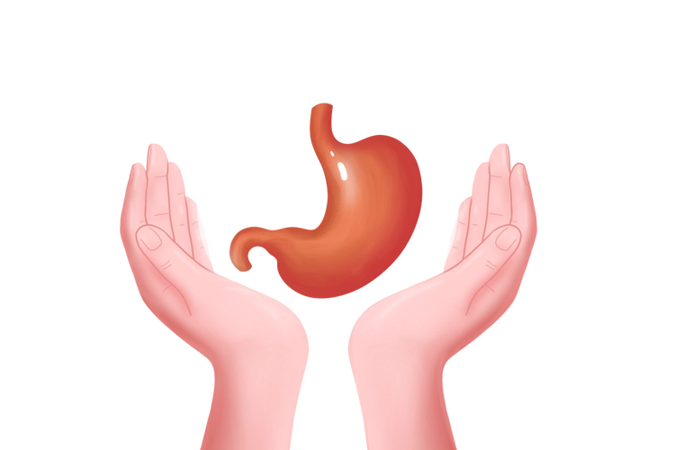 水果是飯前吃還是飯後吃？ 寒性水果加熱後能吃嗎？ 聽聽醫生怎麼說