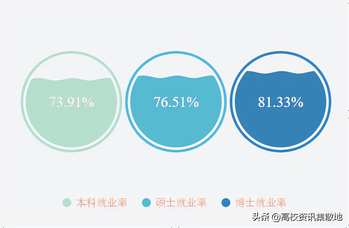 医学大学生毕业规划｜本科生选择考研，研究生选择就业