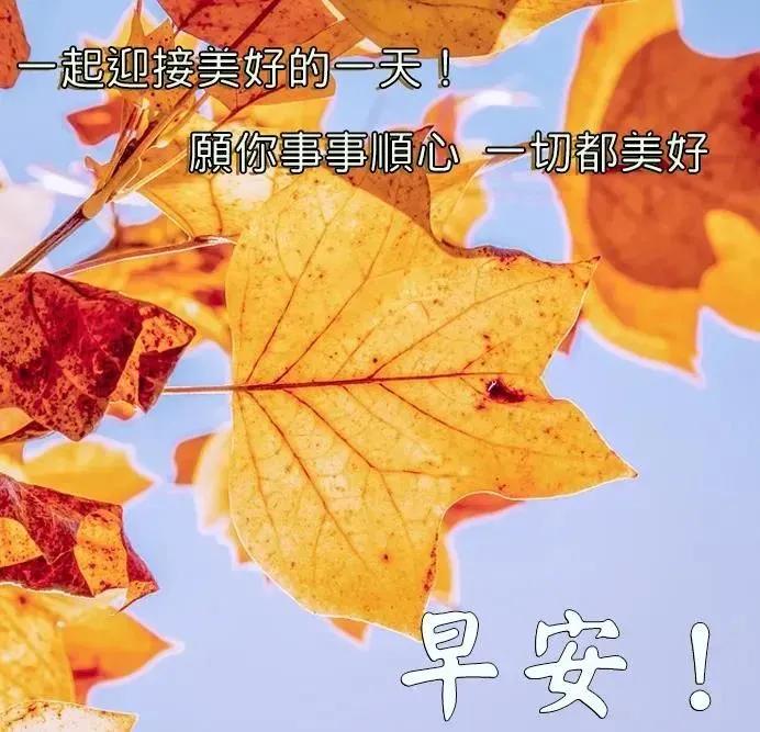 头条周二非常阳光早上好正能量问候表情祝福图片带字