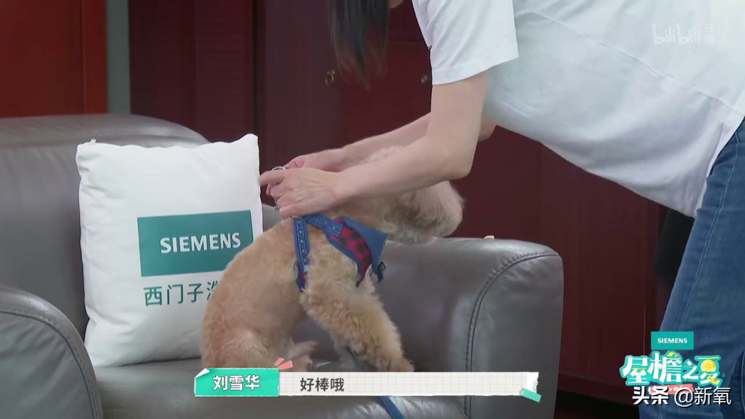 内娱最社恐的一群人凑在一起，反而让节目火了？