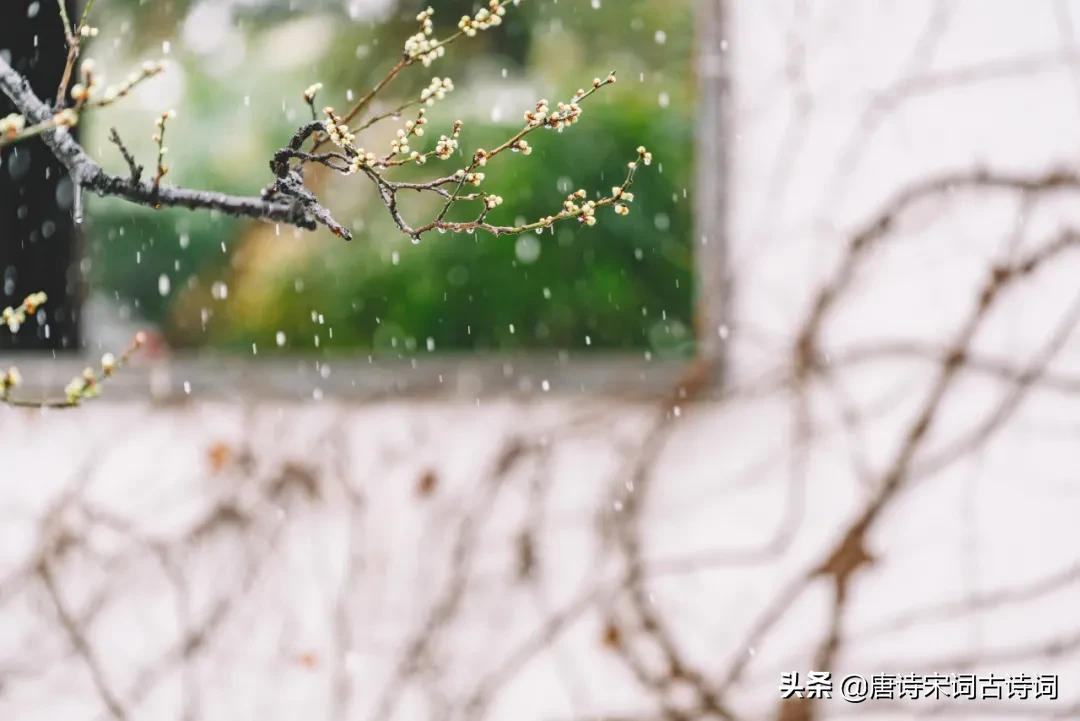 古诗词里的冬雨