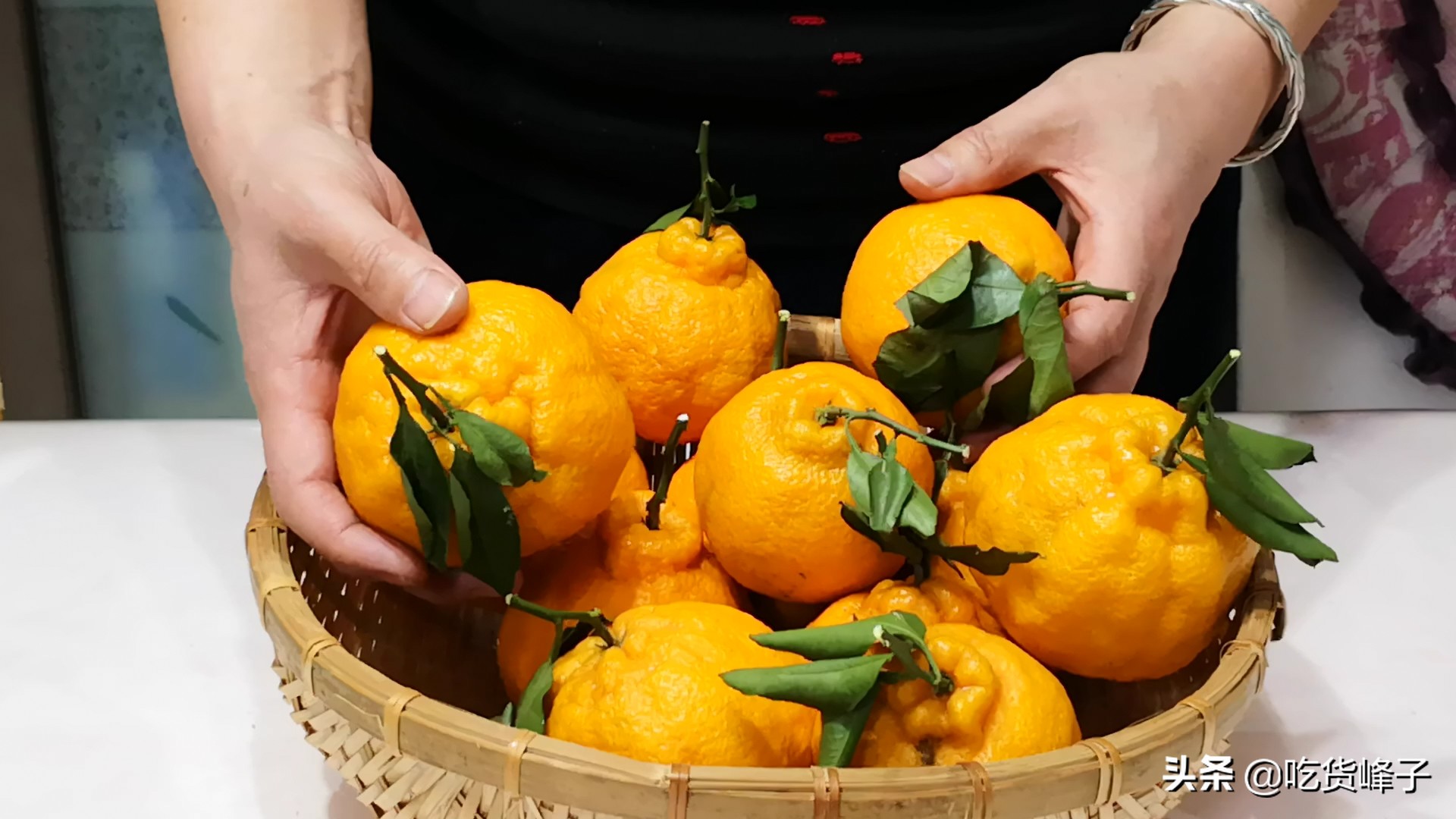 粑粑柑和丑橘区分方法（粑粑柑和丑橘两个不同点）