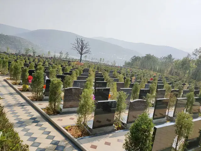 假如膝下无子，那么墓地过了使用年限无人续缴会怎么样？