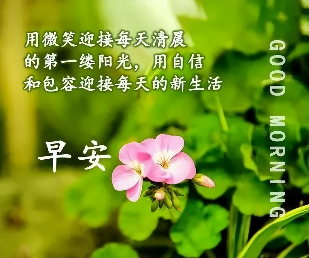 珍惜眼前的唯美句子_晶羽文学网