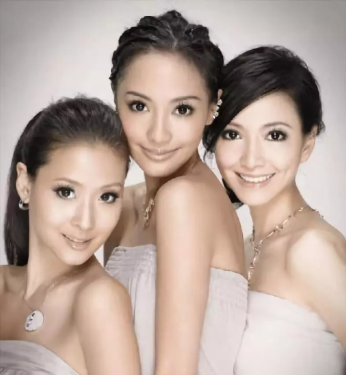 比较有名的名媛派系还有很多,嫁给连战儿子连胜文的红豆帮妹妹蔡依珊