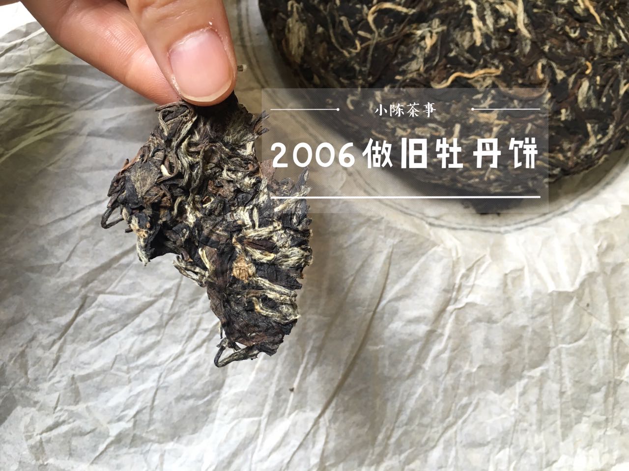 年底了，买老白茶要牢记“3个要点”，不交学费，春节在家喝好茶