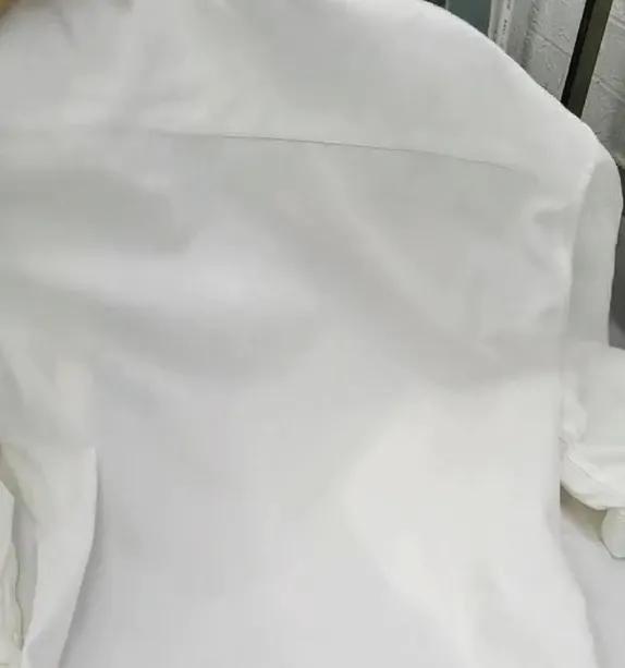 衣服发霉怎么洗掉霉斑小窍门（衣服除霉点最快的方法）-第10张图片-大连信息网