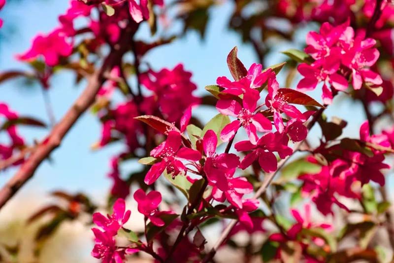 �������ķ����գ�̤���ͻ�����ʱ