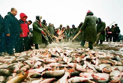 冬天的日本旅游景点（你知道，东北的冬天哪些地方最好玩吗？）