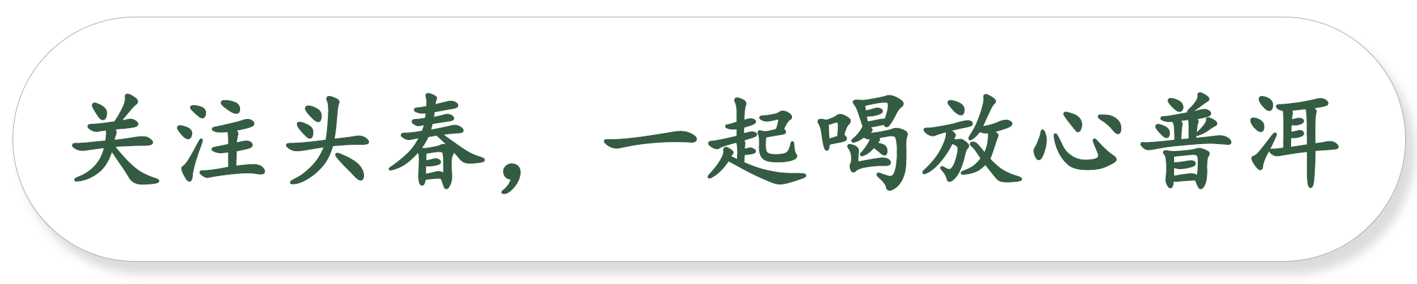 「速读」小青柑普洱茶是什么？一文带你全面了解