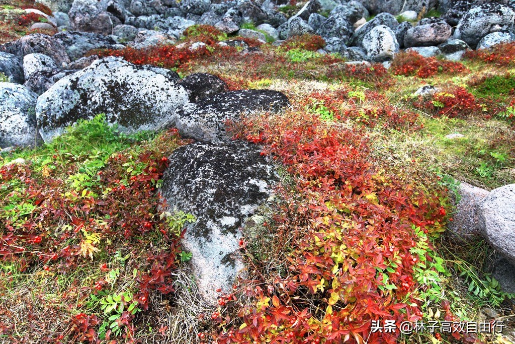 一个在俄罗斯追光成功的游客告诉你：除去运气，追极光其实并不难